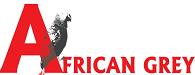 African Grey Insurance Limited